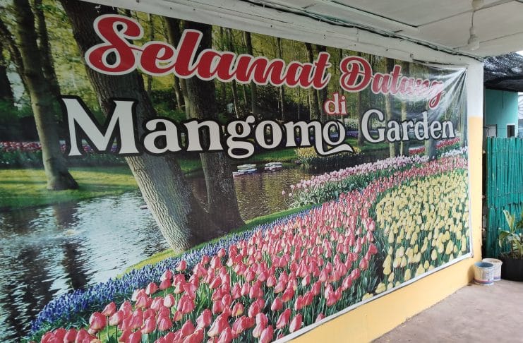 Mangomo