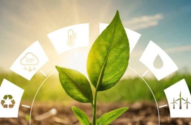 Net Zero Bukan Sekadar Target, Tapi Tanggung Jawab