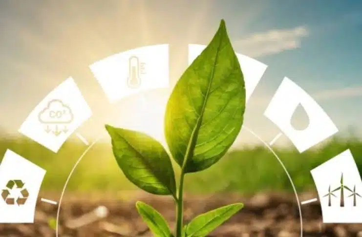 Net Zero Bukan Sekadar Target, Tapi Tanggung Jawab