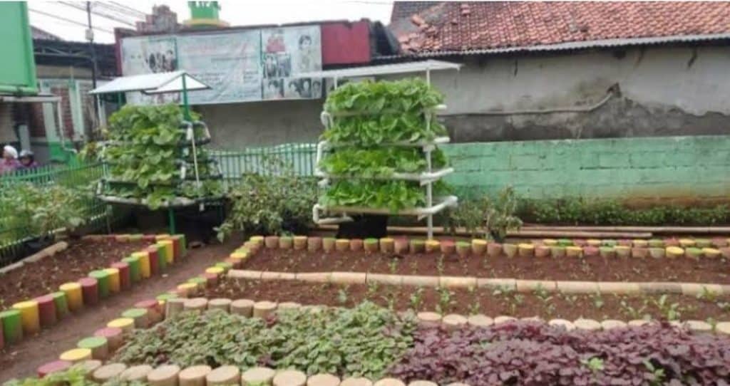 Menanam Nilai, Memanen Solidaritas: Urban Farming sebagai Gerakan Sosial Generasi Muda Kota Medan”