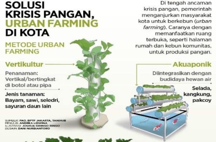 Ekonomi Hijau, Urban Farming Sumber Penghidupan Baru bagi Ibu Rumah Tangga