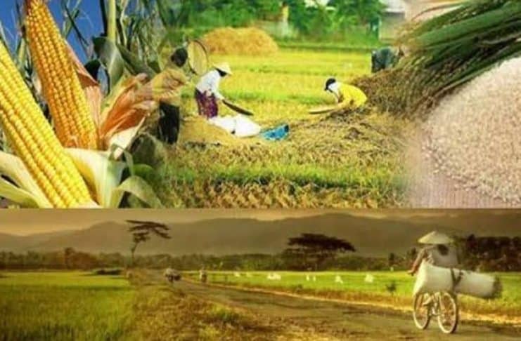 Dampak Sosial, Menyemai Kemandirian