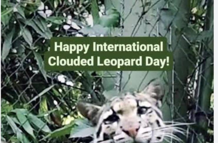 Langka dan Terancam