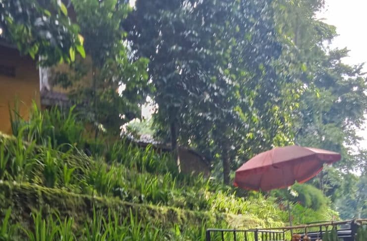 Tradisi Singgah Beli Buah Saat Touring: Kesegaran Jalanan yang Jadi Cerita