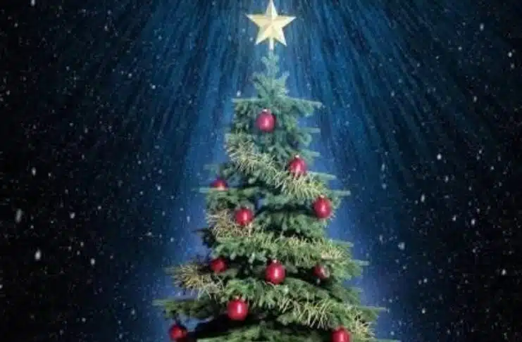 Natal di Negeri yang Kehilangan Hutan