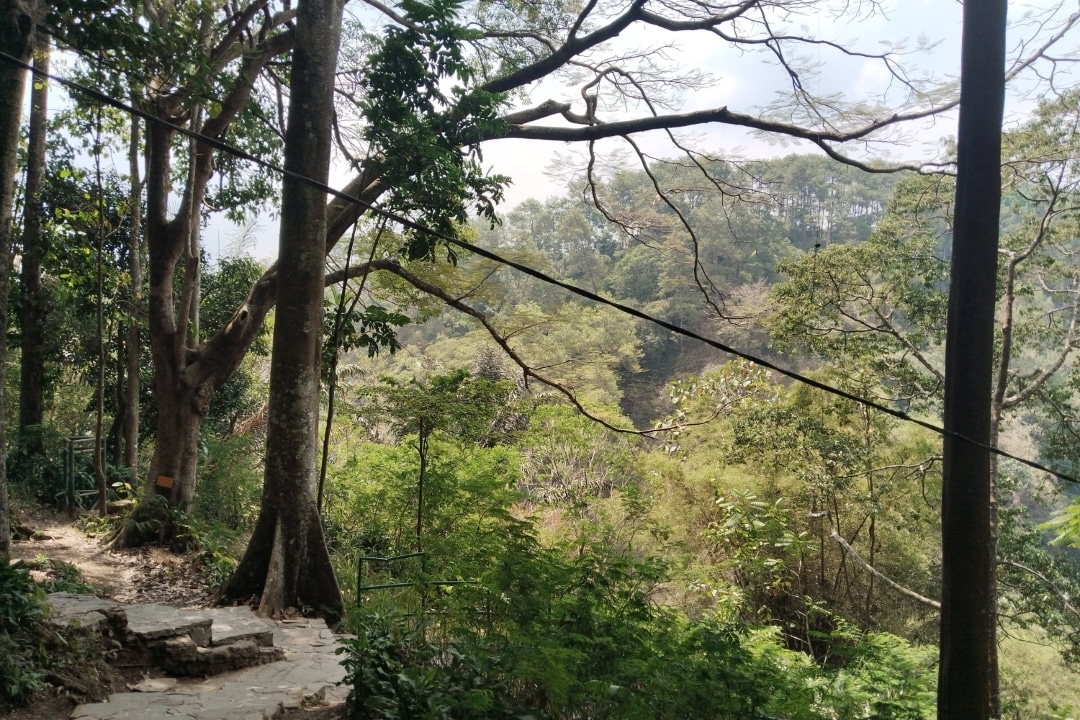 Tahura Djuanda, Jelajah Hutan dan Jejak Sejarah di Utara Bandung 1 Tahura Djuanda: Jelajah Hutan dan Jejak Sejarah di Utara Bandung