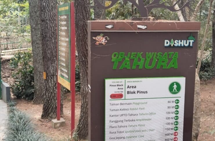 Tahura Djuanda: Jelajah Hutan dan Jejak Sejarah di Utara Bandung