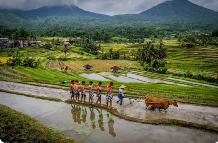 Pariwisata Indonesia Hadapi Geopolitik, Iklim, dan AI