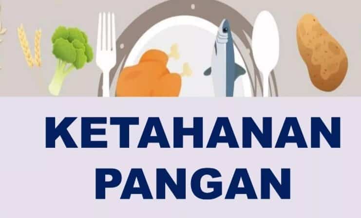 Ketahanan Pangan: Fondasi Strategis Ketahanan Nasional Indonesia